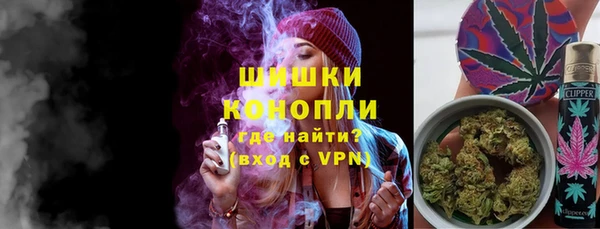 PSILOCYBIN Бородино