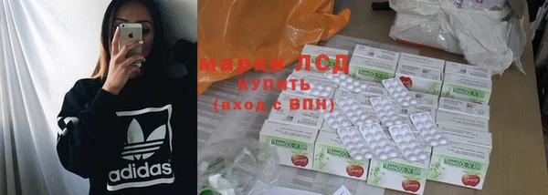 PSILOCYBIN Бородино