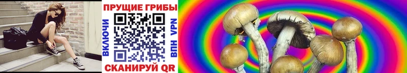 маркетплейс формула  Калининец  Псилоцибиновые грибы Magic Shrooms 